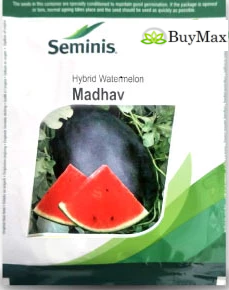 MADHAV WATERMELON
