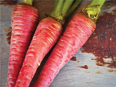NSC गाजर Carrot - Pusa Rudhira 250gm(This Price include Procurement & Handling)