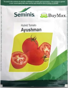 AYUSHMAN TOMATO (आयुष्मान टमाटर )