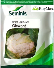 GIEWONT CAULIFLOWER