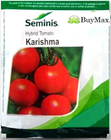 KARISHMA TOMATO ( करिश्मा टमाटर )