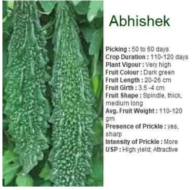 सेमिनिस अभिषेक करेला (अभिषेक करेला)-50GM