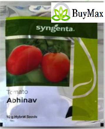 सिन्जेंटा अभिनव टमाटर (अभिनव टमाटर) 10GM