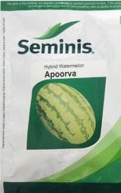 सेमिनिस अपूर्व तरबूज (अपूर्वा तरबूज)-50GM