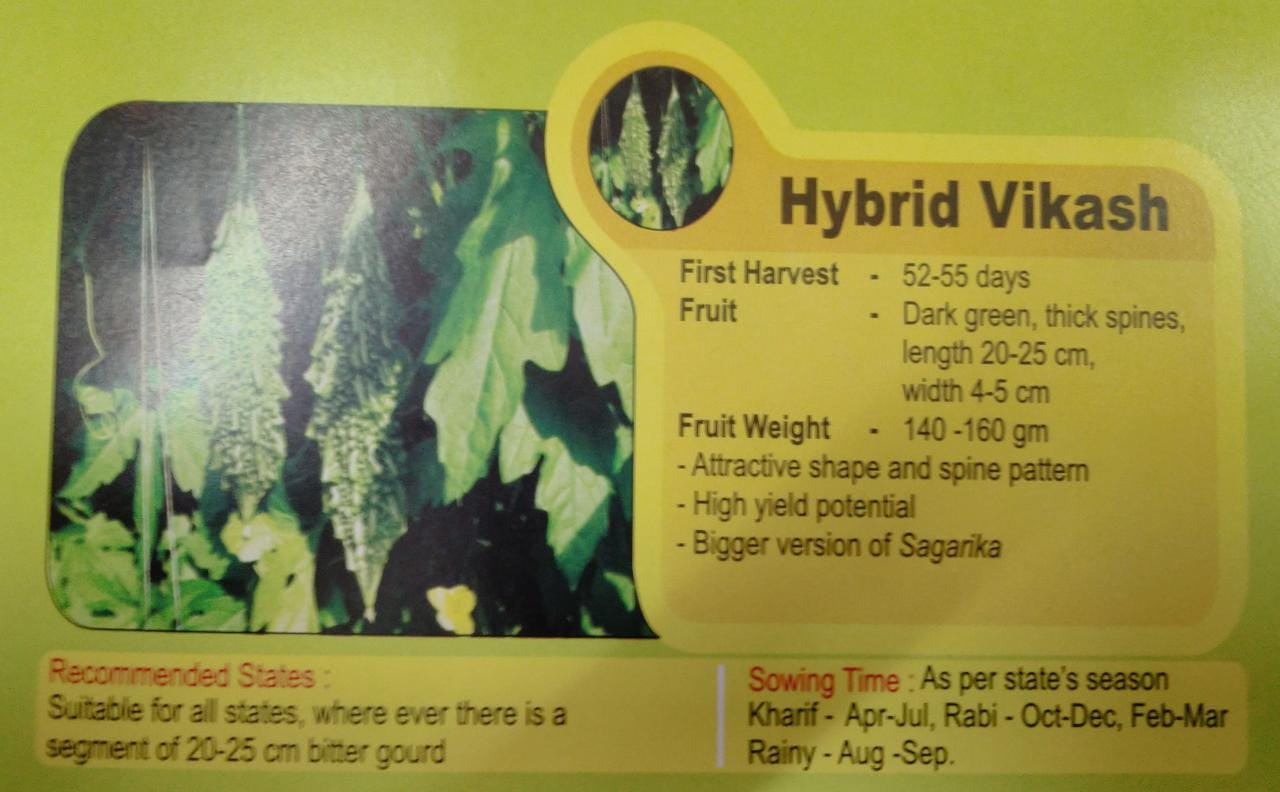 Bitter Gourd Hyb. Vikash 50 gm