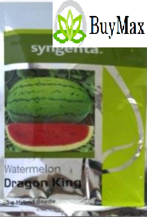 Syngenta DRAGON KING WATER MELON-50GM