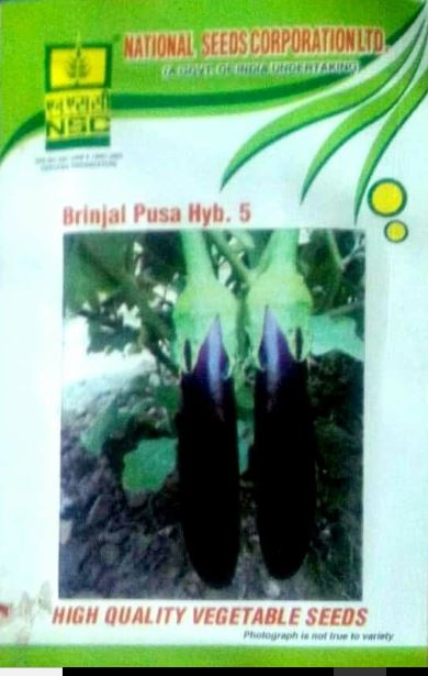 NSC Brinjal(बैंगन) - Pusa Hybrid 6- 10gm( Price include Procurement & Handling)