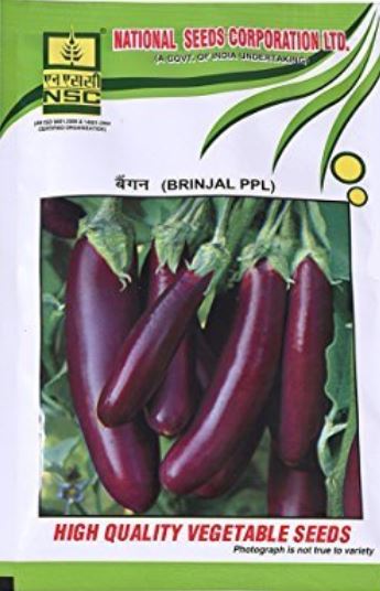 NSC Brinjal(बैंगन) -PPL-50gm( This Price include Procurement & Handling )