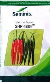Seminis SHP 4884 CHILLI-1500SEEDS