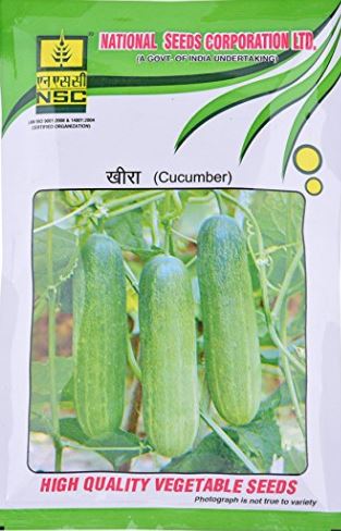 NSC Cucumber(खीरा)-SwarnaSheetal-50gm( This Price include Procurement & Handling