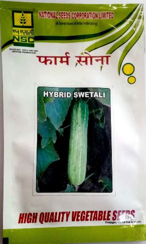 NSC Cucumber(खीरा)-Swetali-10gm( This Price include Procurement & Handling )
