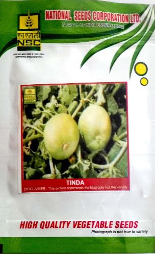 NSC Tinda- Ludhiana-15gm