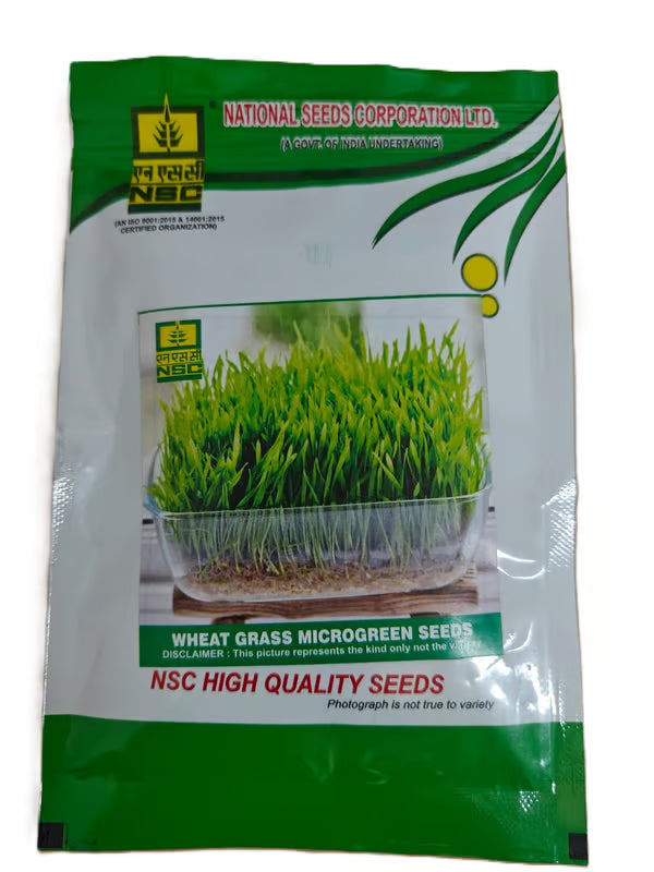 NSC Wheat Grass Microgreen -50 gram packet
