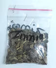 NSC Zinia Liliput Mix- 5 gram pack