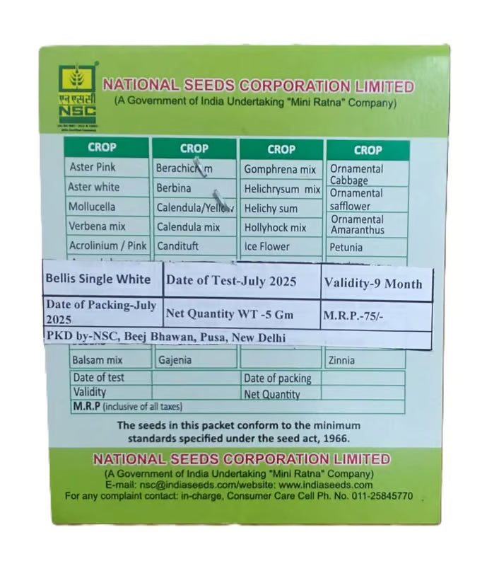 NSC Bellis Single White flower seed -5 gm pack