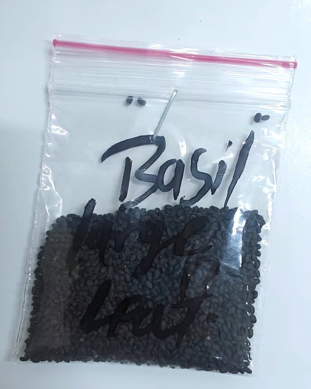 NSC Basil large leaf seed -5 gram pack