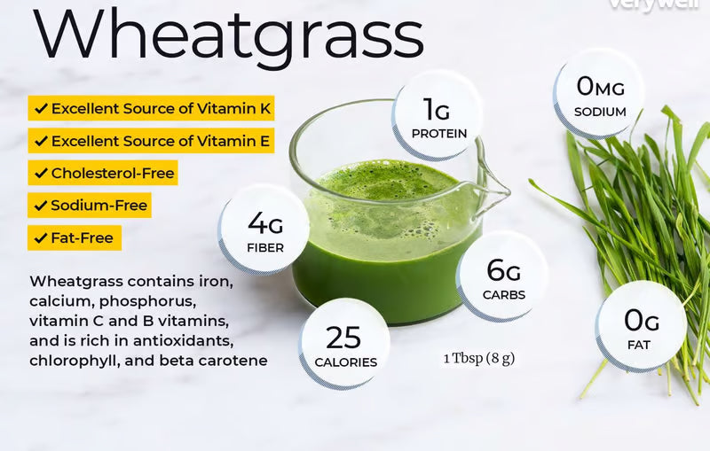 NSC Wheat Grass Microgreen -50 gram packet